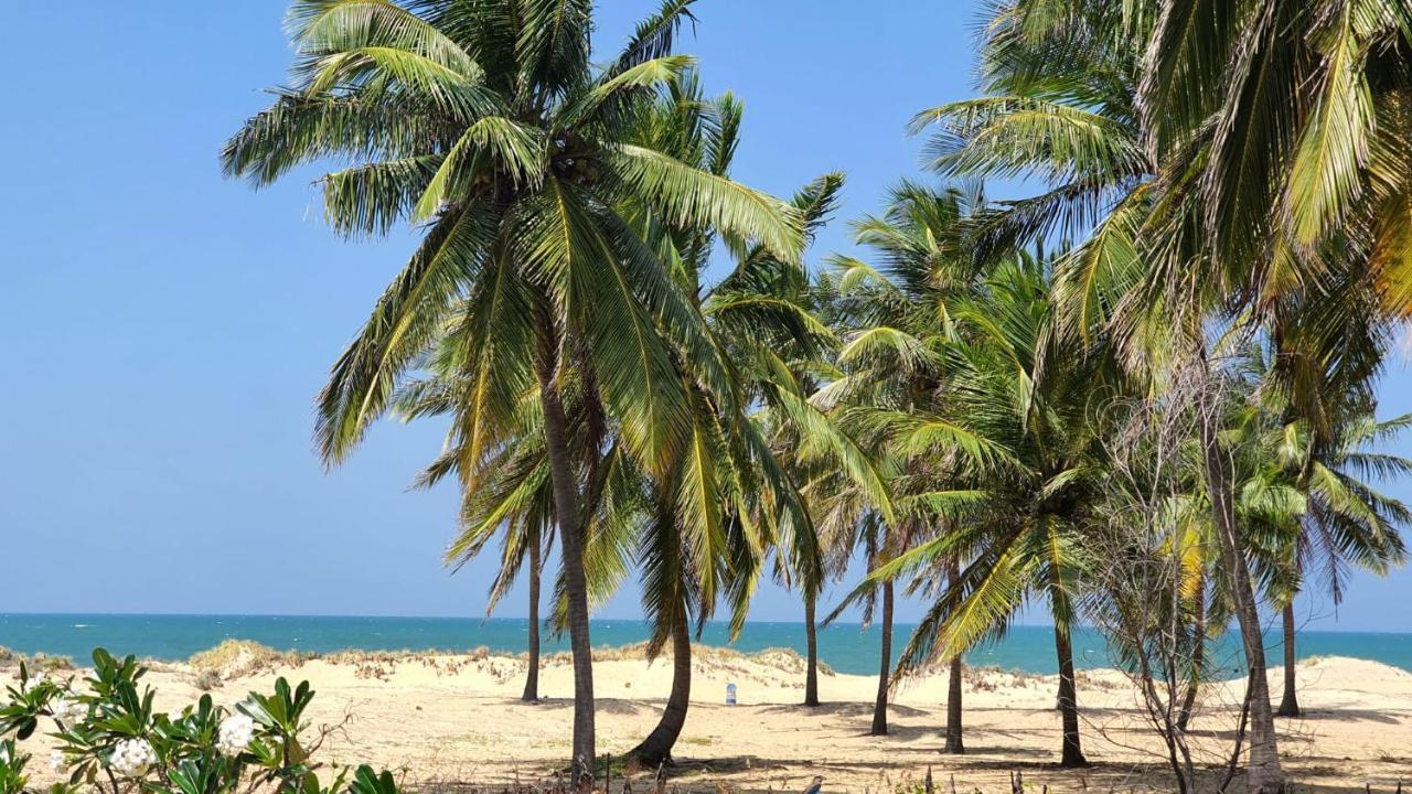 Nirukthie Beach Resort & Restaurant كالبيتيا المظهر الخارجي الصورة