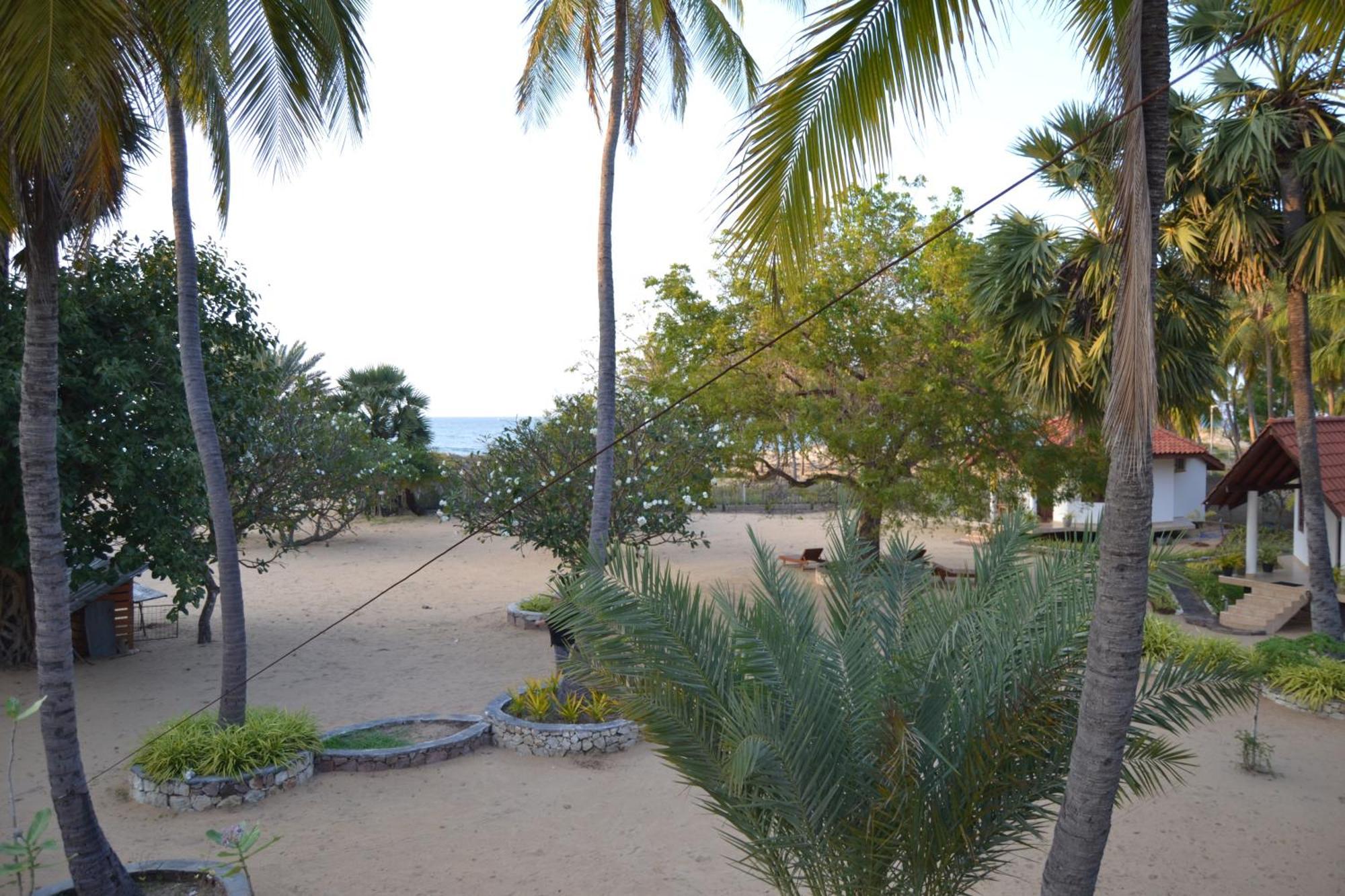 Nirukthie Beach Resort & Restaurant كالبيتيا المظهر الخارجي الصورة